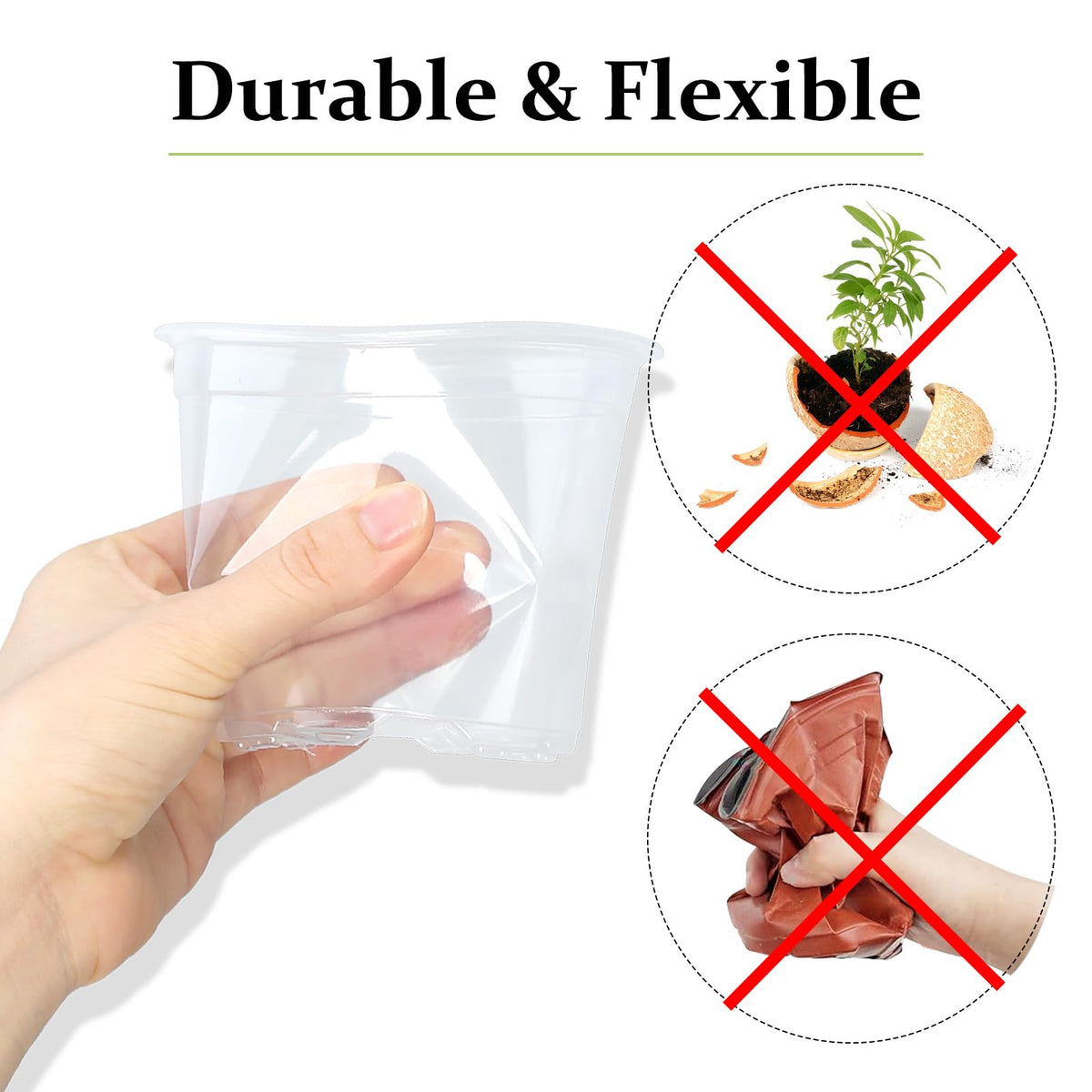 DUNPUTE 7-inch clear nursery pot with drainage suits small plant transplants.