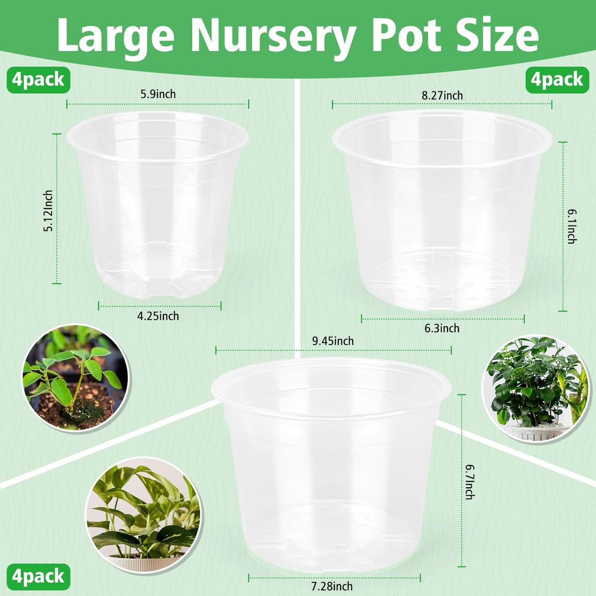 DUNPUTE 8-inch clear nursery pot with drainage facilitates moisture checks.