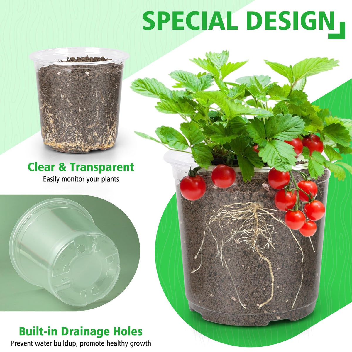 DUNPUTE 9-5-inch clear nursery pot with drainage supports larger transplants.