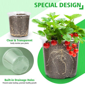 DUNPUTE 9-5-inch clear nursery pot with drainage supports larger transplants.