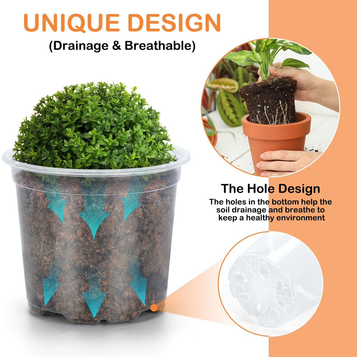 DUNPUTE clear nursery pot highlighting drainage holes to prevent waterlogging.