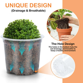 DUNPUTE clear nursery pot highlighting drainage holes to prevent waterlogging.