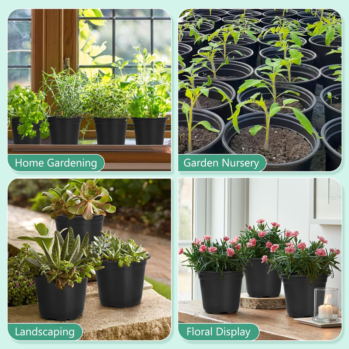 DUNPUTE indoor-outdoor use container for garden projects and mini landscapes.