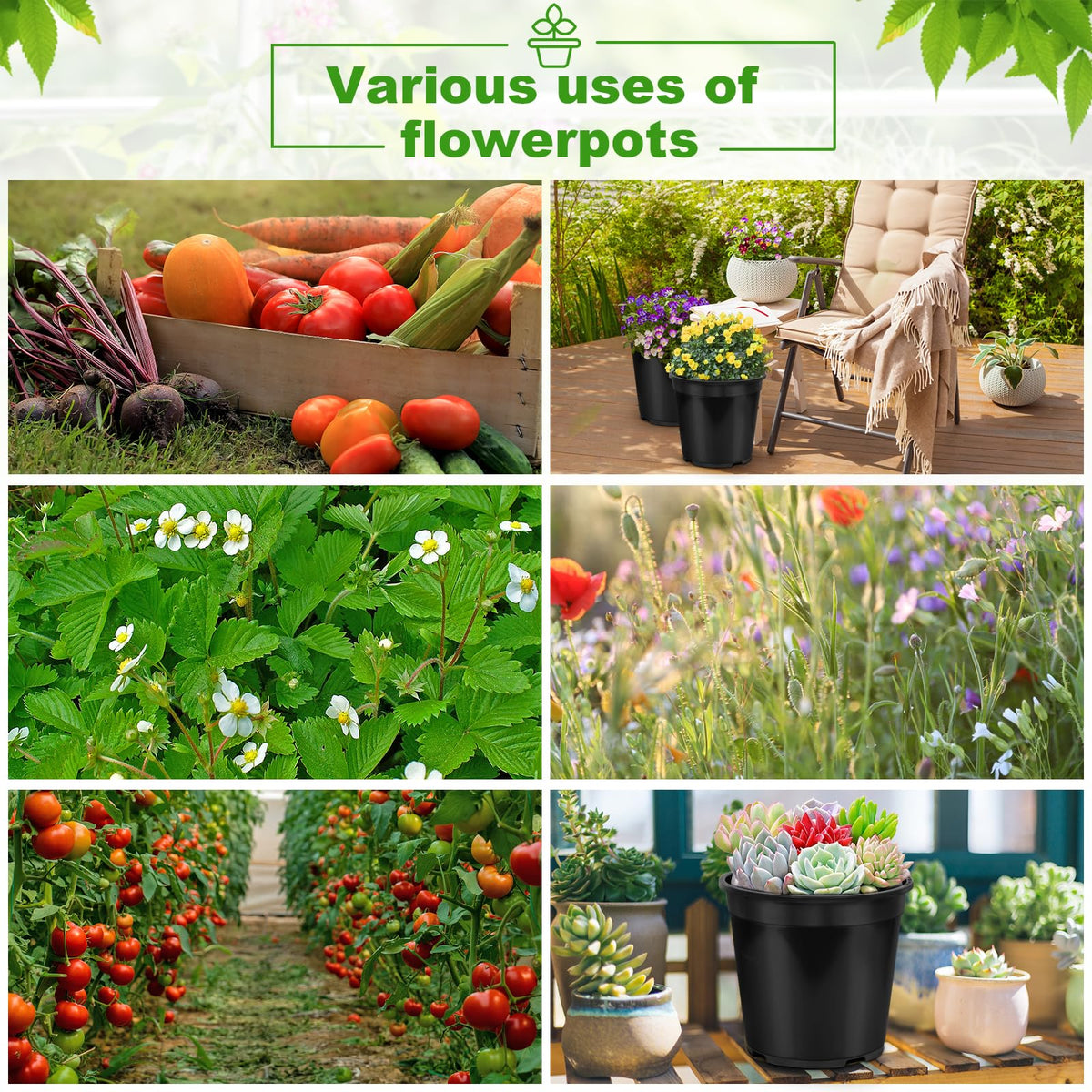 DUNPUTE indoor outdoor use pots enable flexible gardening spaces
