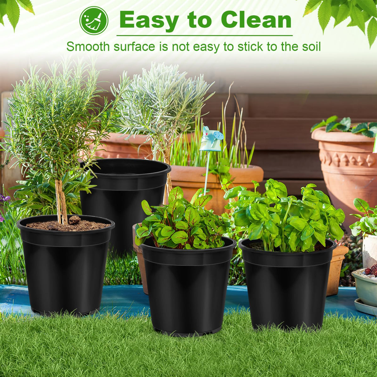 DUNPUTE multi-size gallons collection supports seedlings through maturity