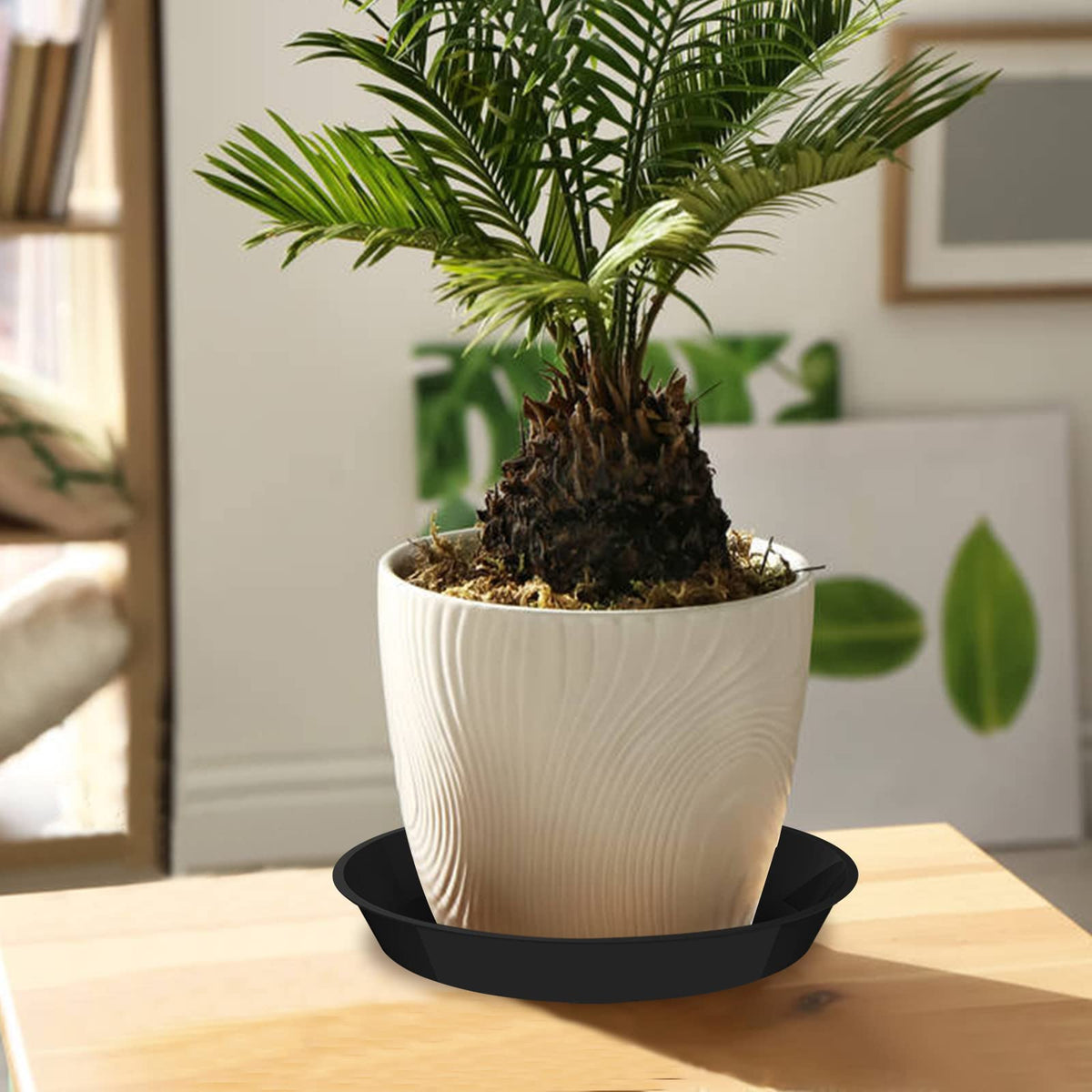 DUNPUTE saucer decorated with pebbles for decorative indoor display