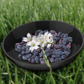 DUNPUTE plant saucer made of rugged PP material for long-lasting use