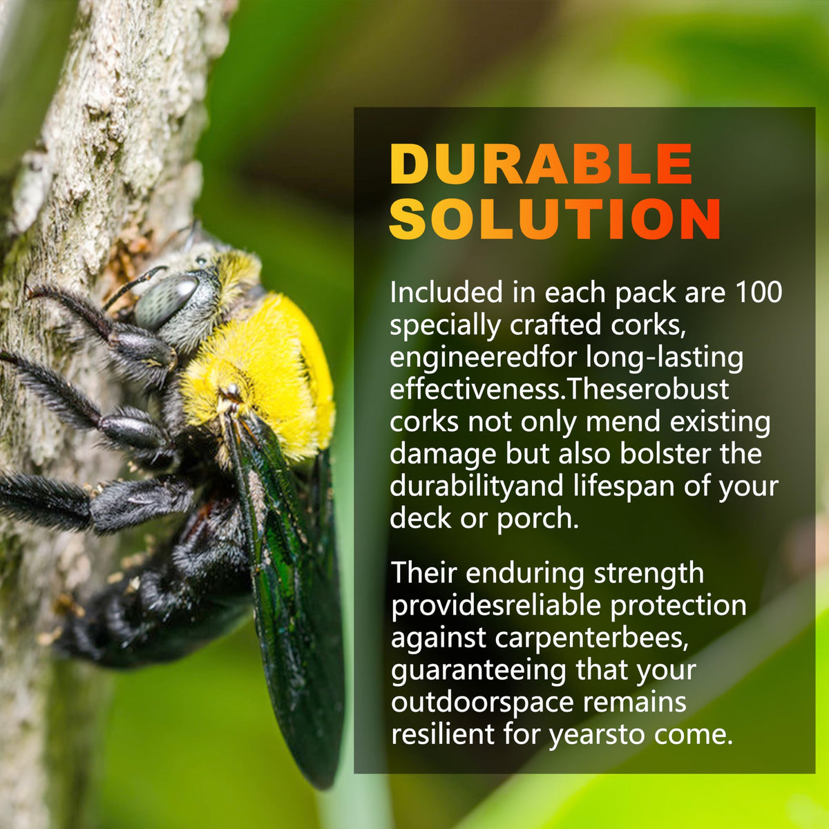 Duomilee small bee plugs for fine wood repairs and finishing