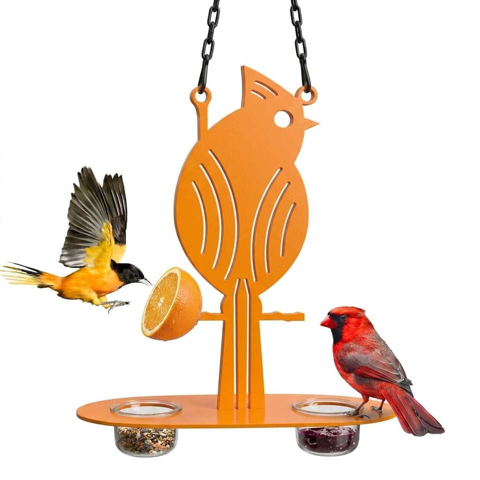 DUOYOUNG Hanging Oriole Feeder bowl showing clear, accessible fruit and nectar option