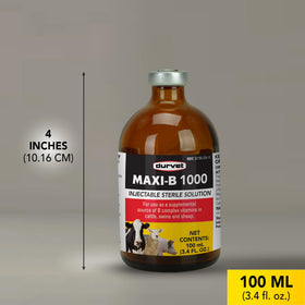 Durvet Maxi-B 1000 dog-use scene in a home setting.