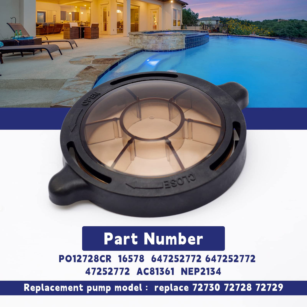 Dusledel pool pump lid seal closeup highlighting durable material against sun and water exposure