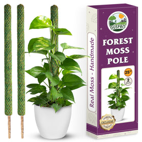 Duspro 25-inch mesh moss pole supports monstera, promoting robust climbing growth with natural moisture.