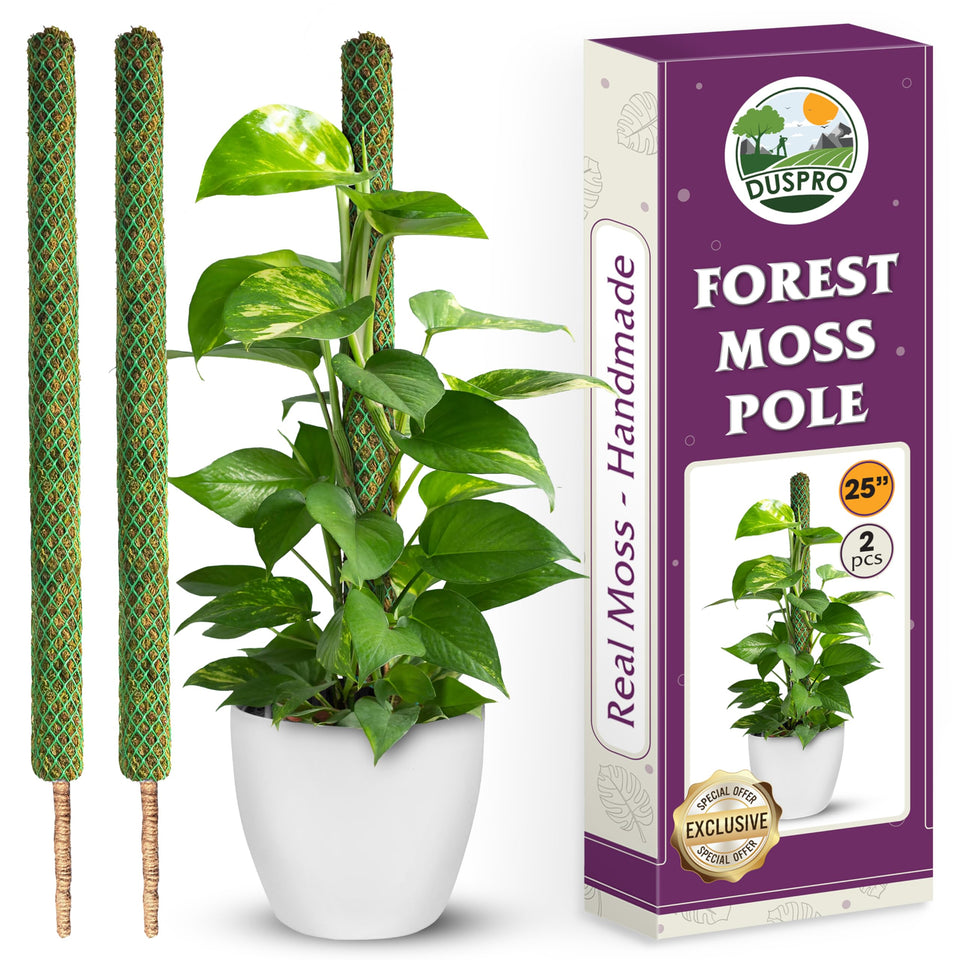 Duspro 25-inch mesh moss pole supports monstera, promoting robust climbing growth with natural moisture.