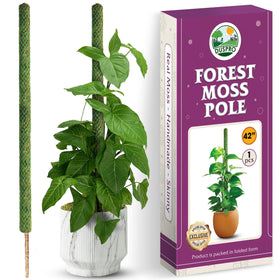 Duspro 42-inch mesh moss pole supports climbing plants with natural moss for robust growth.