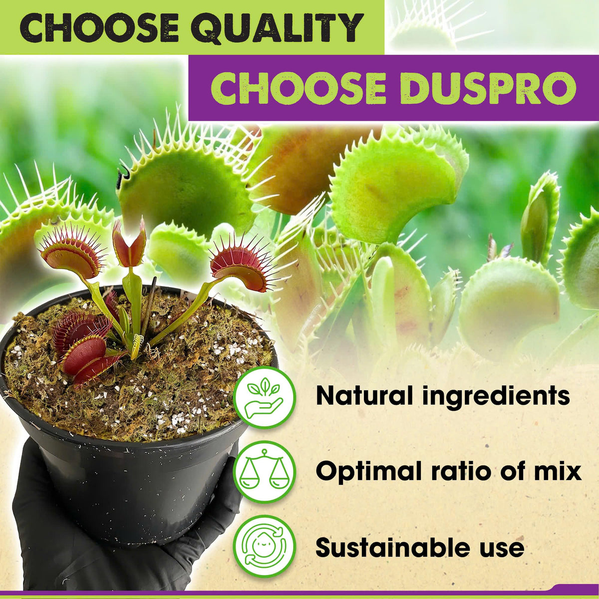 Duspro perlite inclusion improves drainage and root airflow.