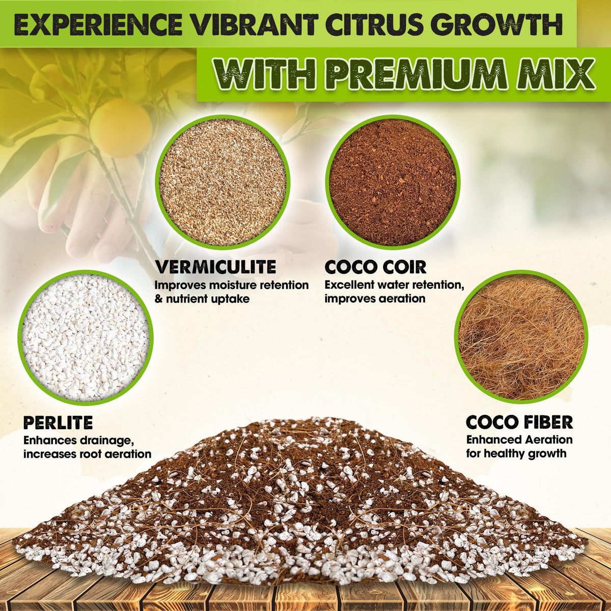 Duspro orange tree soil image highlighting nutrient-rich mix for better citrus growth