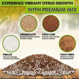 Duspro orange tree soil image highlighting nutrient-rich mix for better citrus growth