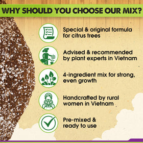 Duspro ready-to-use soil in bag for quick potting setup