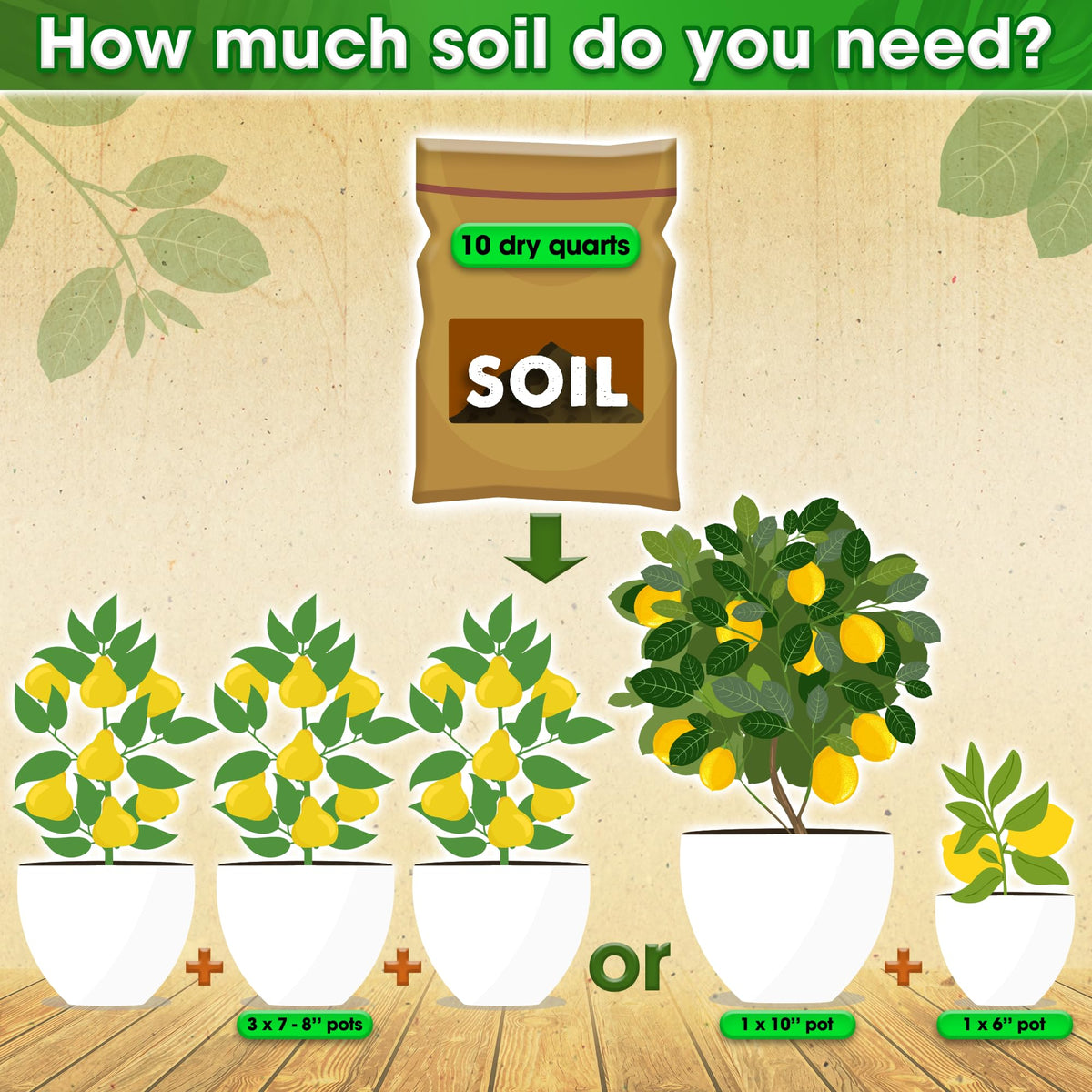 Duspro breathable soil supports root oxygen for healthy citrus growth.