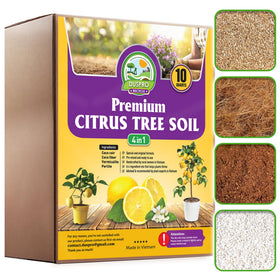 Duspro citrus-tree soil lemons promotes healthy roots and vibrant foliage.