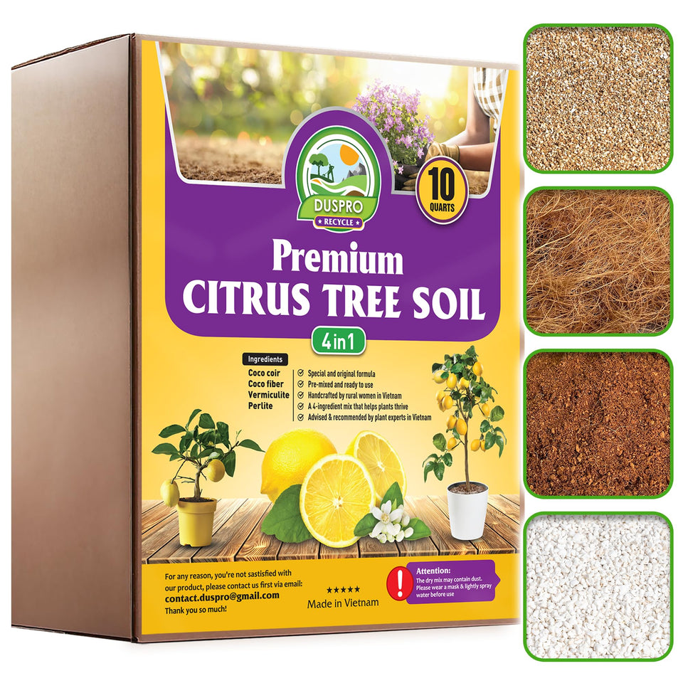 Duspro citrus-tree soil lemons promotes healthy roots and vibrant foliage.