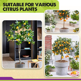 Duspro soil pH-balanced mix helps citrus varieties thrive indoors.