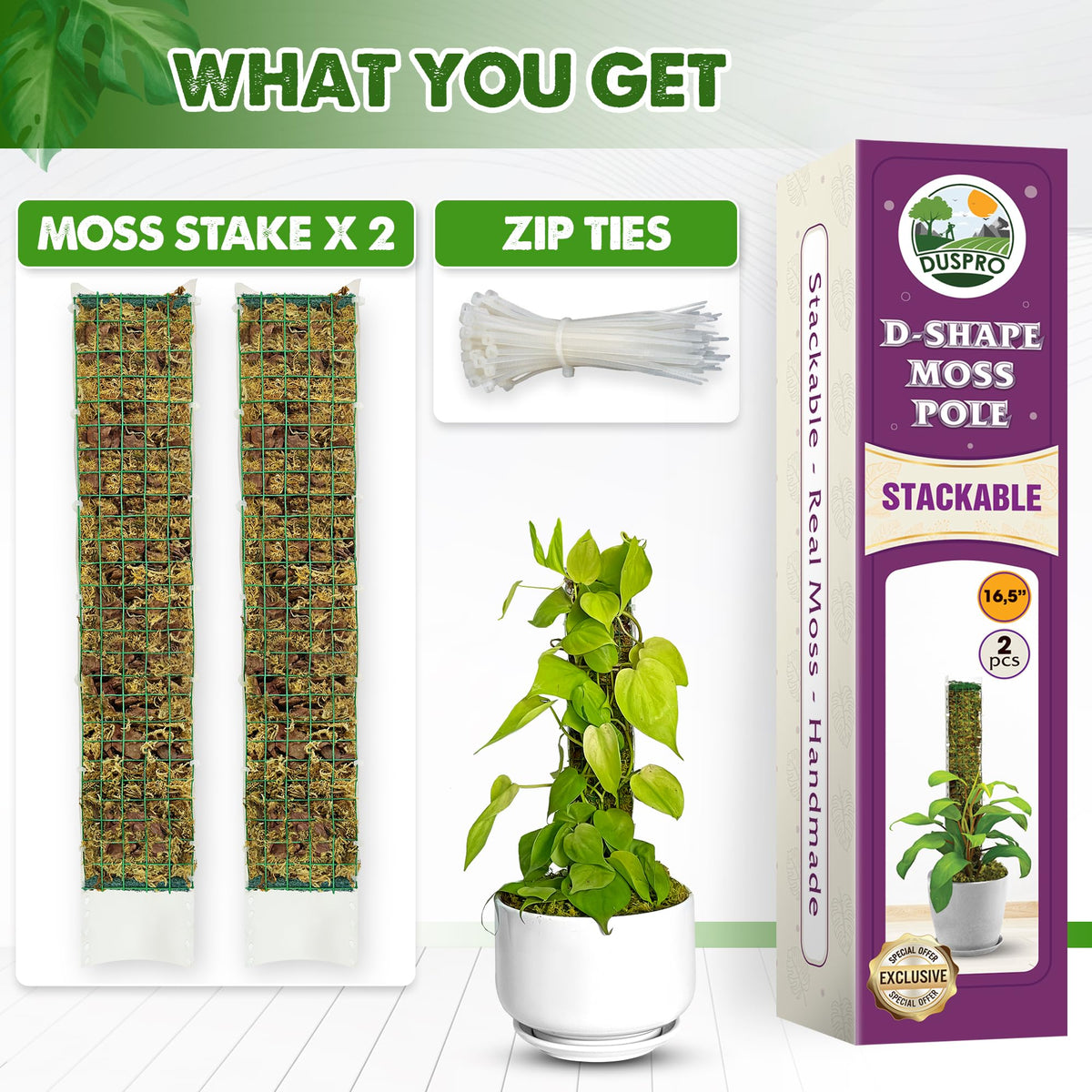 Duspro moss pole installation is quick and easy—insert, position, and secure.