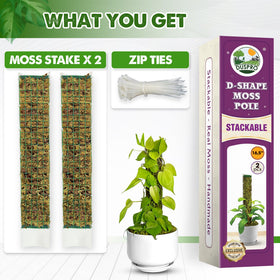 Duspro moss pole installation is quick and easy—insert, position, and secure.