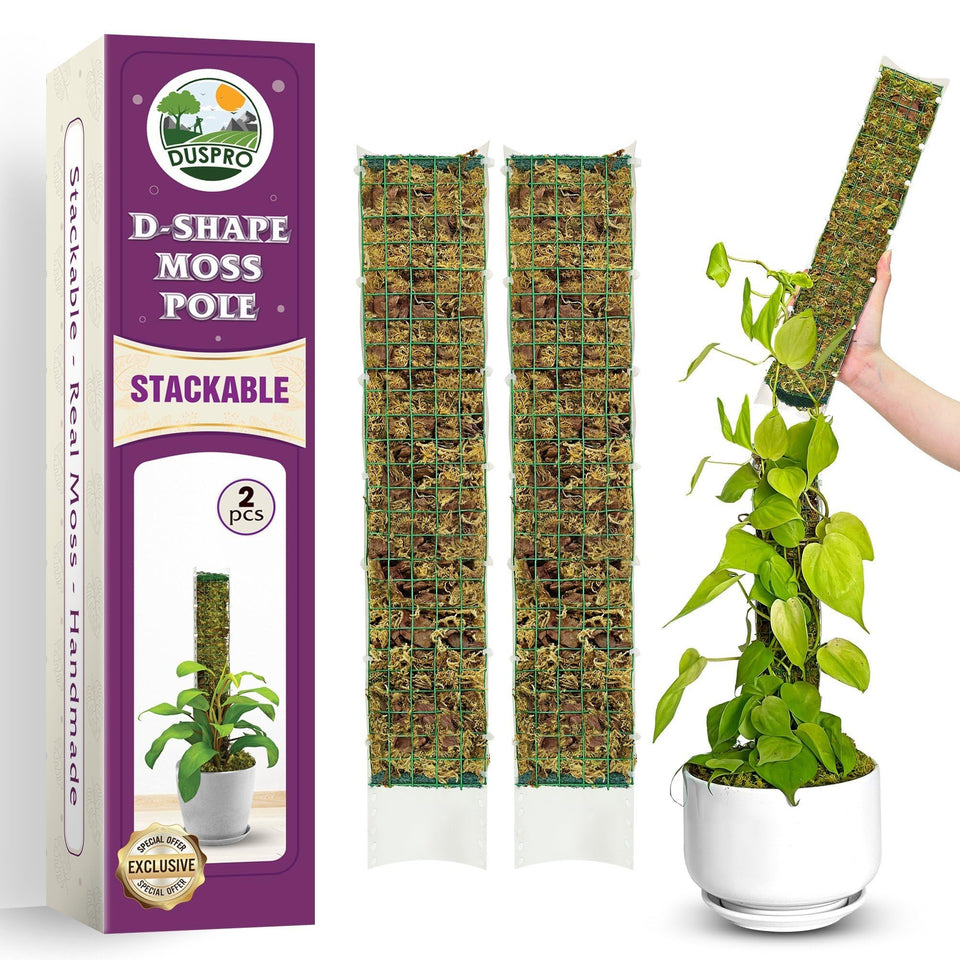 Duspro D-shaped moss pole with front mesh supports aerial roots for Monstera and climbers.