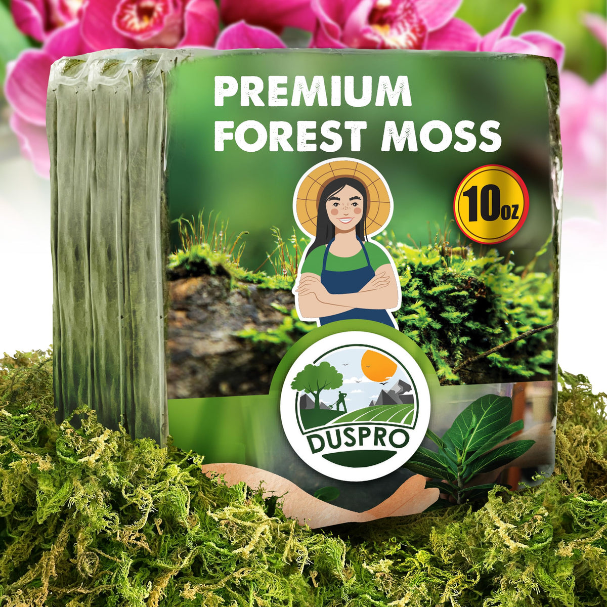 Duspro dried forest moss for potted plants adds natural texture and balanced moisture.