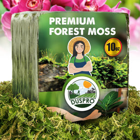 Duspro dried forest moss for potted plants adds natural texture and balanced moisture.
