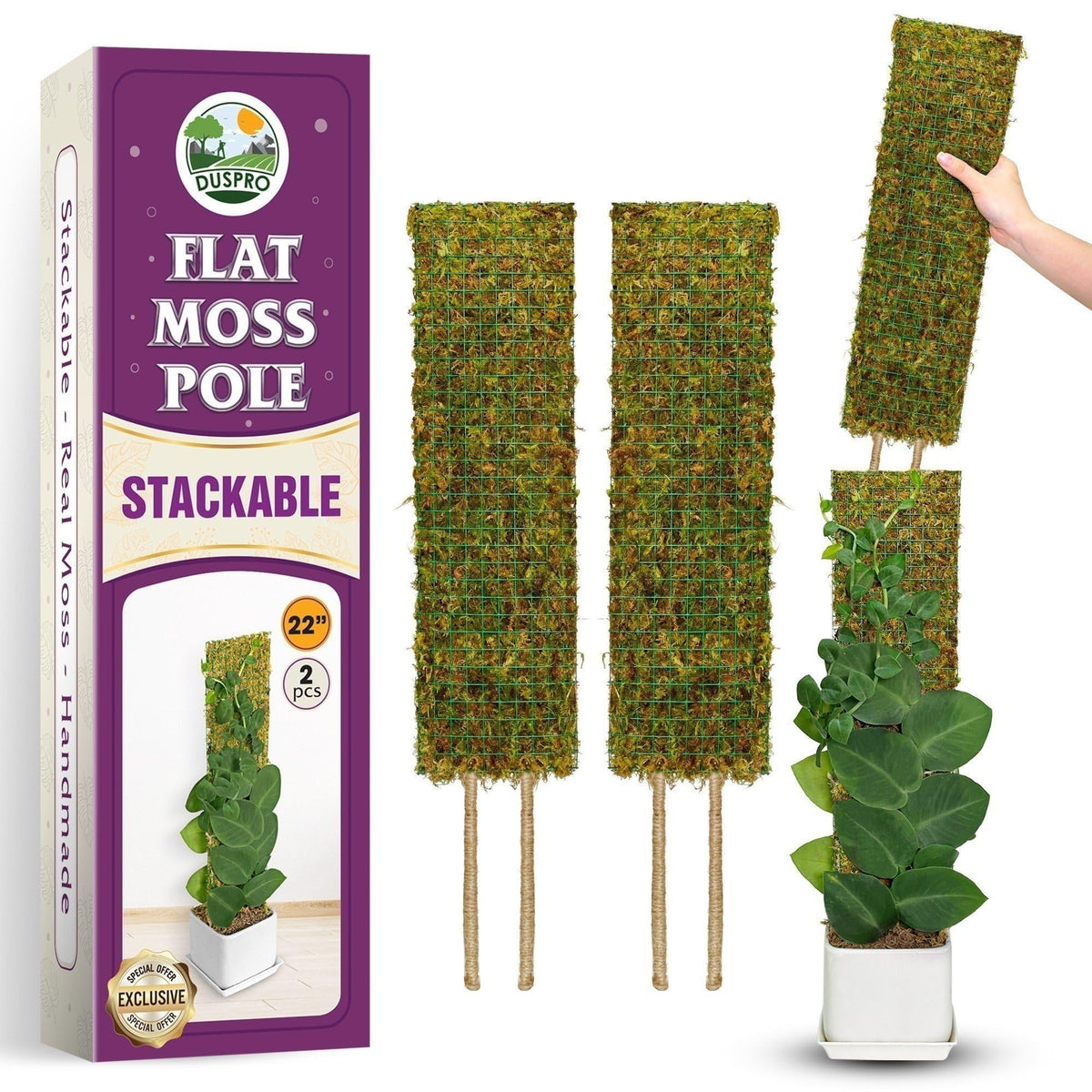 Duspro flat mesh moss pole with two-sided mesh supports climbing plants upward.