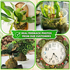 Duspro forest moss packaging shows 280g bulk moss ready for use.