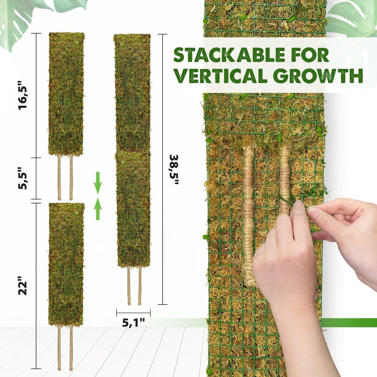 Duspro forest moss substrate enhances hydration and grip for plant climbs.