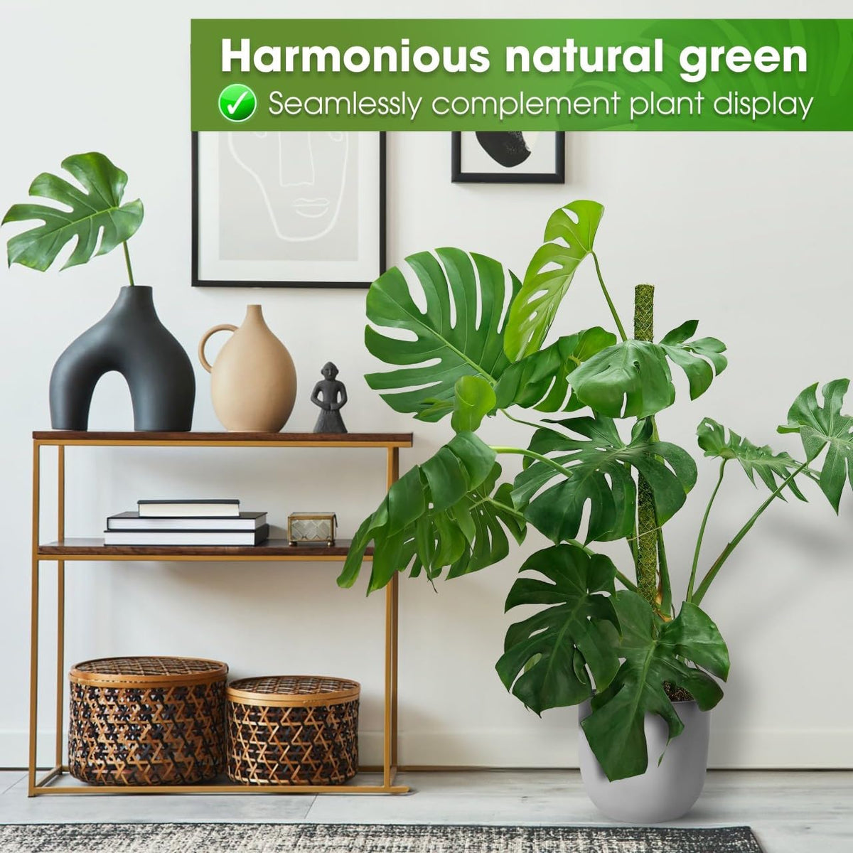 Duspro handcrafted moss pole from Vietnam shows premium craftsmanship and care.
