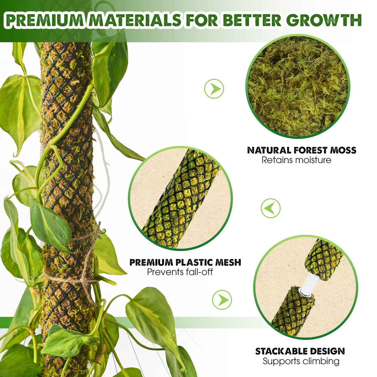 Duspro indoor climbing plants support suitable for Monstera and friends