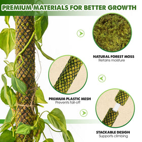 Duspro indoor climbing plants support suitable for Monstera and friends