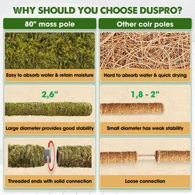Duspro large-diameter 2.6-inch moss pole strengthens growth of big plants