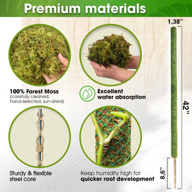Duspro monstera moss pole wrapped in forest moss for sturdy growth.