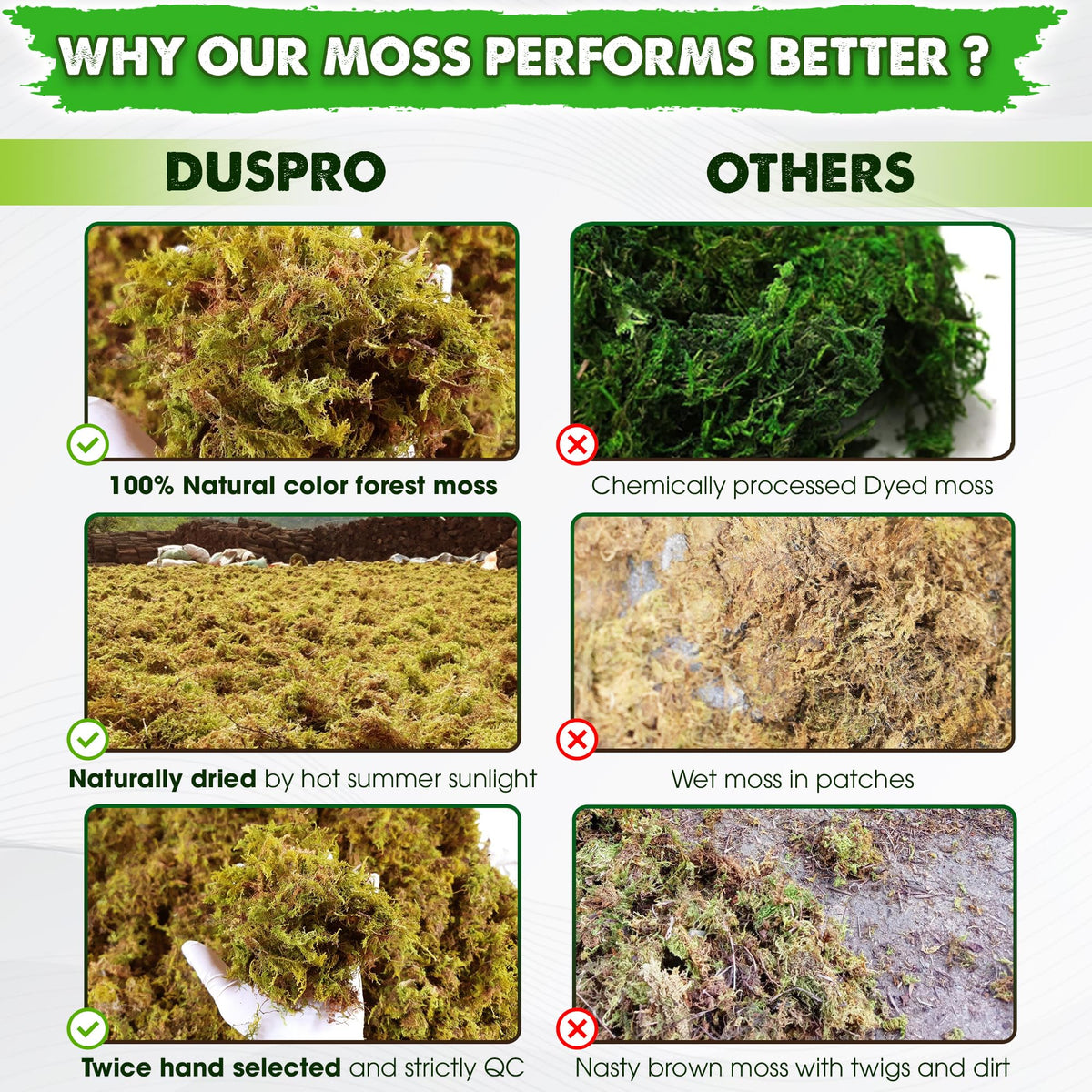 Duspro moss cover for indoor plants provides finish and controlled moisture in pots.