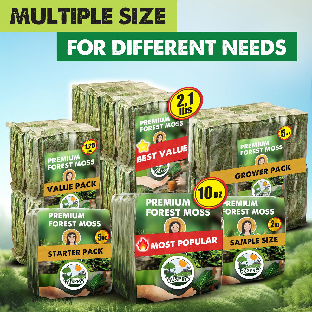 Duspro moss for crafts and kokedama inspires creative plant projects and displays.
