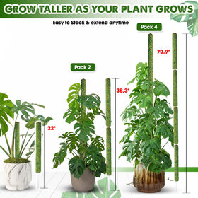 Duspro moss pole 71in extension for long climbing plants.