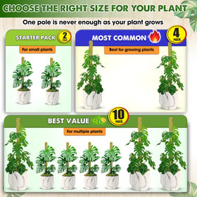 Duspro moss pole for indoor outdoor use with natural aesthetics