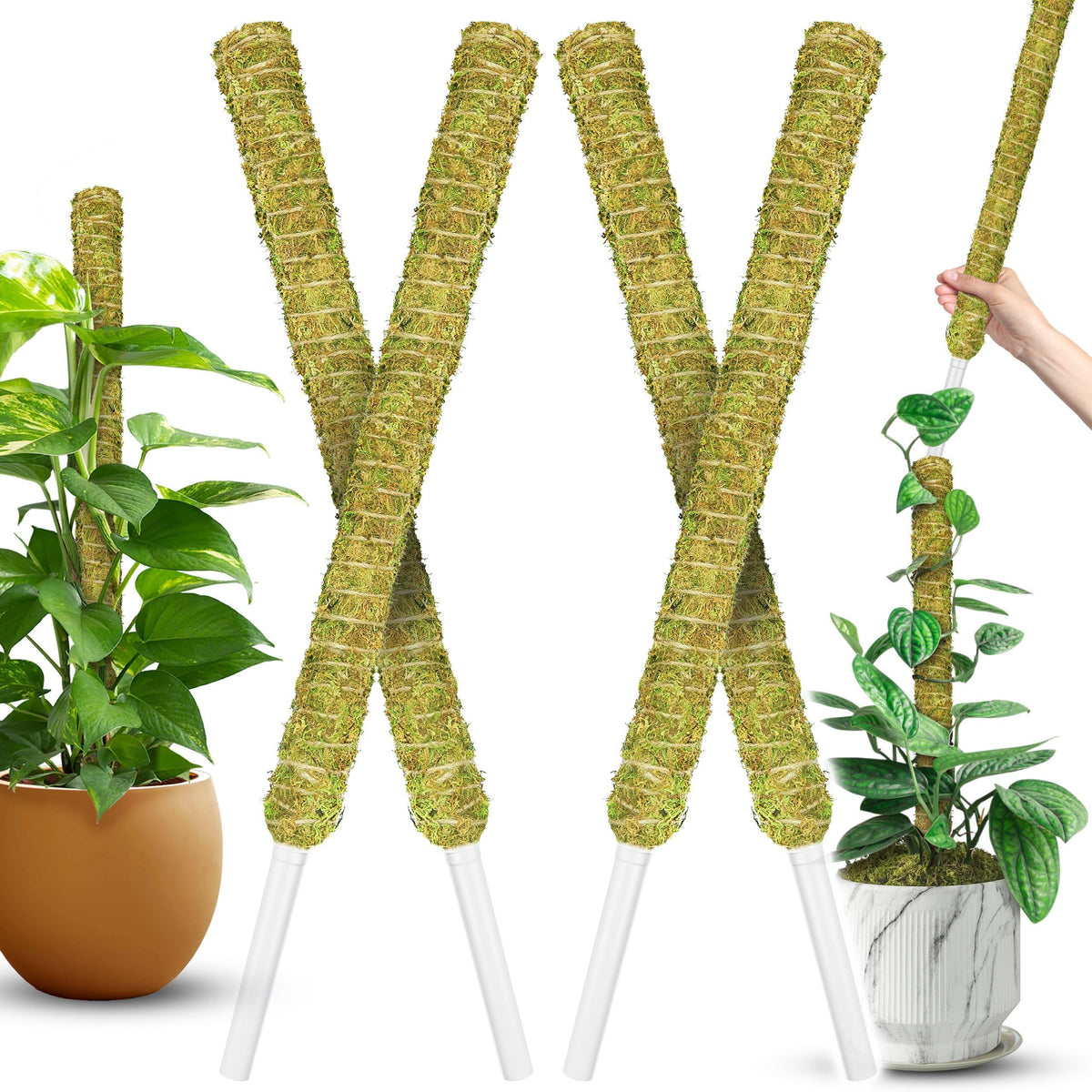 Duspro moss pole monstera with stackable design supports vertical growth
