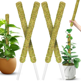 Duspro moss pole monstera with stackable design supports vertical growth