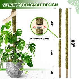 Duspro moss pole stackable design delivers stable, extended support for tall greens