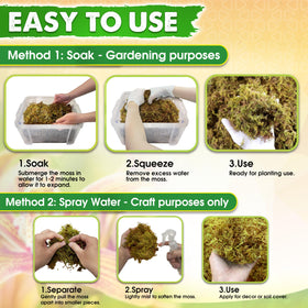 Duspro moss plant topper decor enhances indoor plant aesthetics with moisture balance.