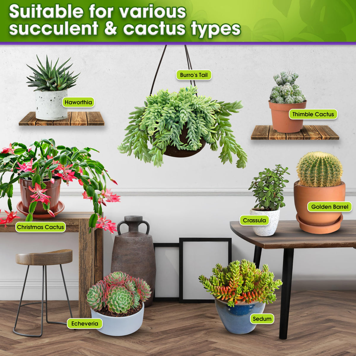 Duspro multi-size succulent soil options for indoor and outdoor use