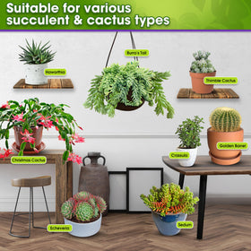 Duspro multi-size succulent soil options for indoor and outdoor use