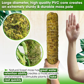 Duspro natural forest moss creates humidity for healthier roots